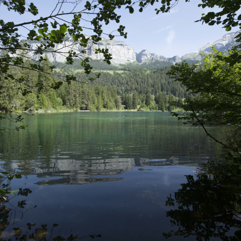 Bild eines Bergsees