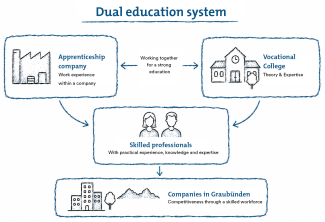 Dual education system illustration